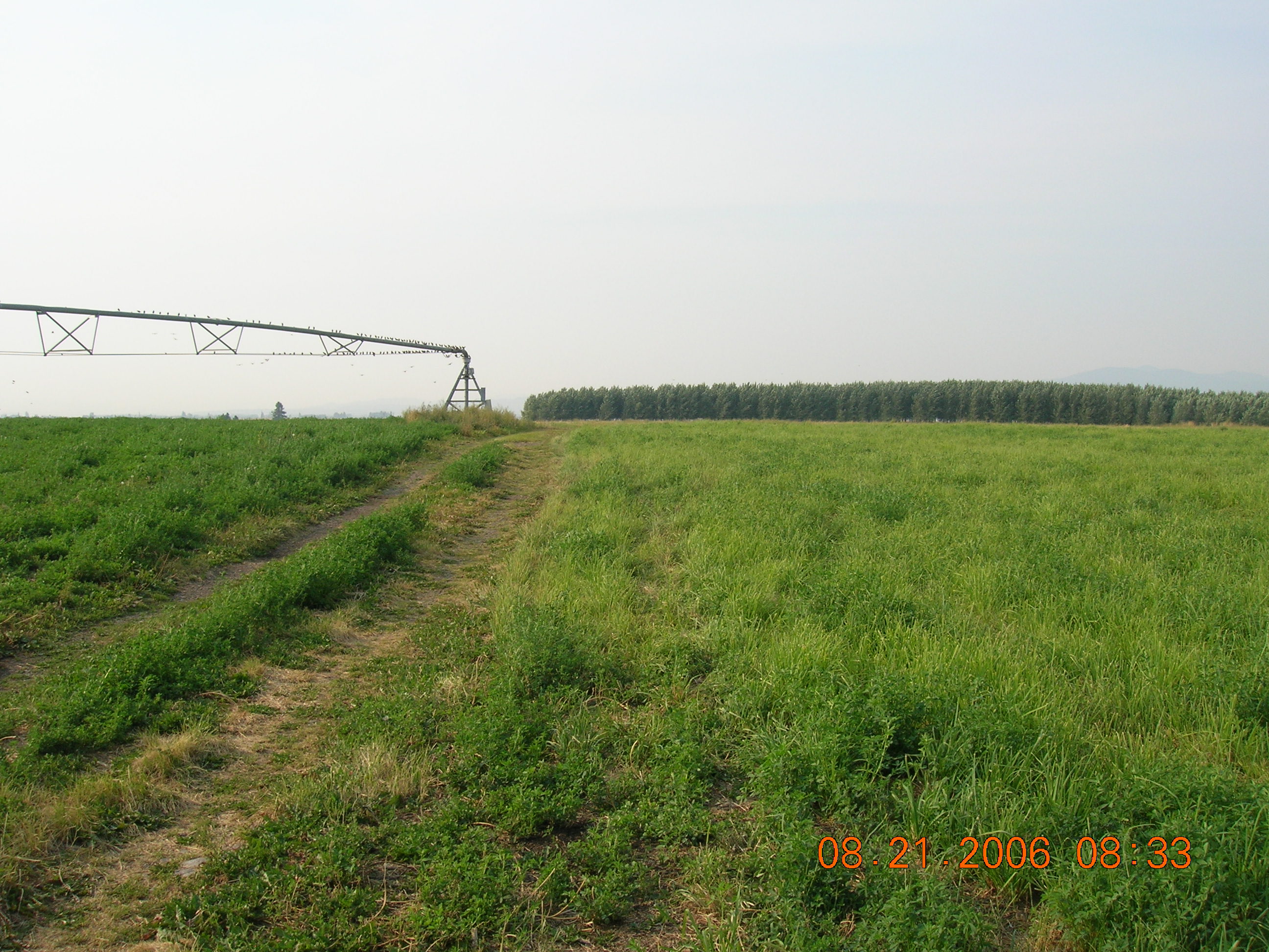 Zone 2 Trees.Farm